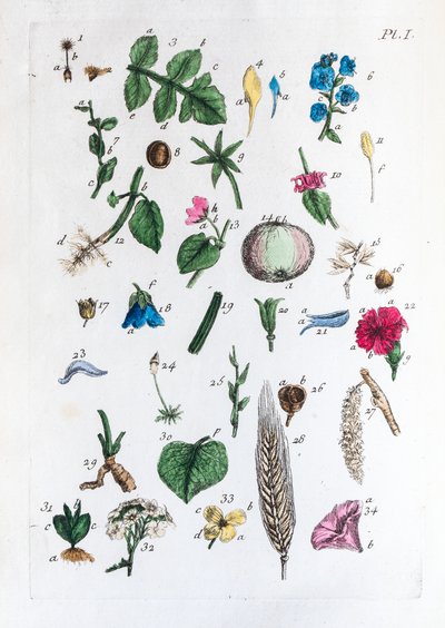Flora Parisiensis