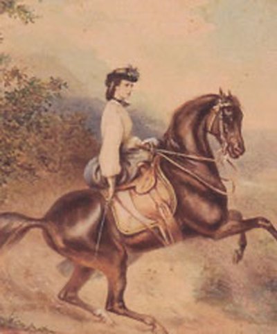 Elisabeth, Avusturya İmparatoriçesi ve Macaristan Kraliçe Eşi (24 Aralık 1837 - 10 Eylül 1898) (illüstrasyon) by Unknown artist