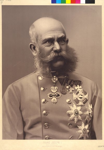 Avusturya İmparatoru I. Franz Joseph by Unknown artist