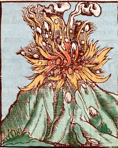Bir volkanın patlaması. 16. yüzyıl gravürü. by Unknown artist