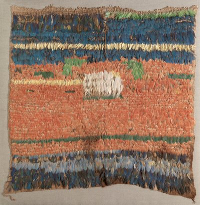Tüylü Tabard veya Tunik by Unknown artist