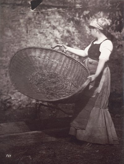 [Hasat Sepetli Kadın Köylü] by Unknown artist