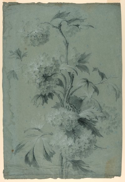 çiçek tasarımı by Unknown artist
