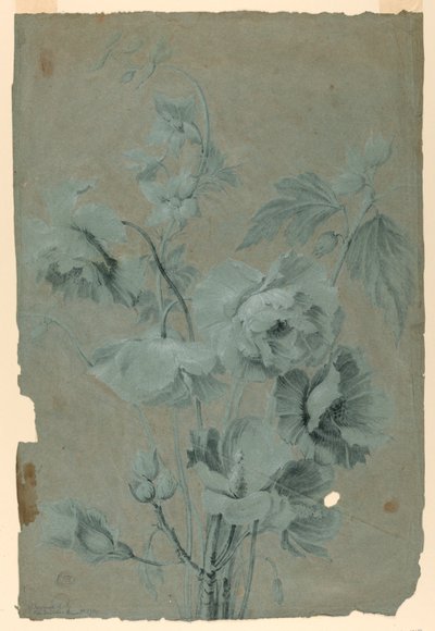 çiçek tasarımı by Unknown artist