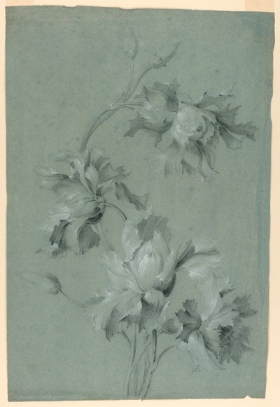 çiçek tasarımı by Unknown artist