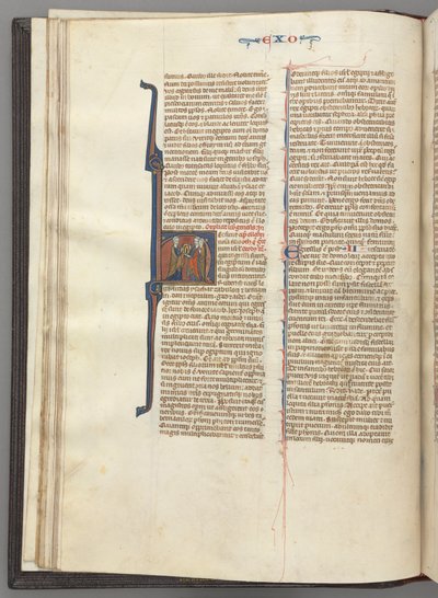 Fol. 20v, Mısır