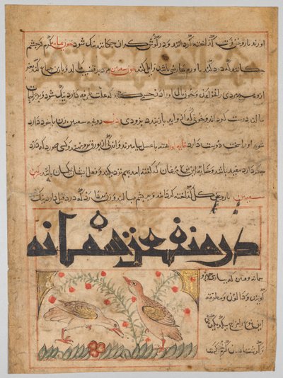 İranlı bir Manafi