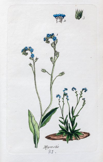 Unutma beni-nots by Unknown artist