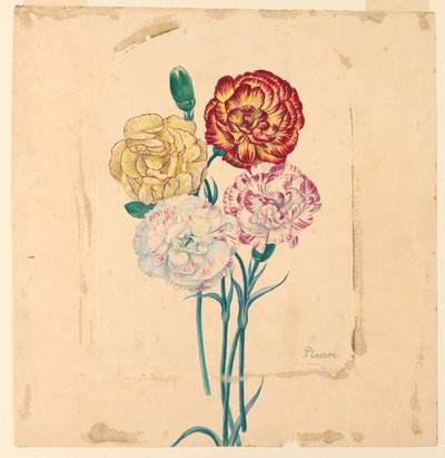 dört karanfil by Unknown artist