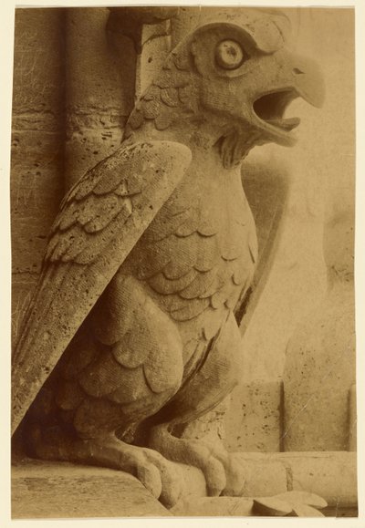 [Gargoyle, Notre-Dame] by Unknown artist