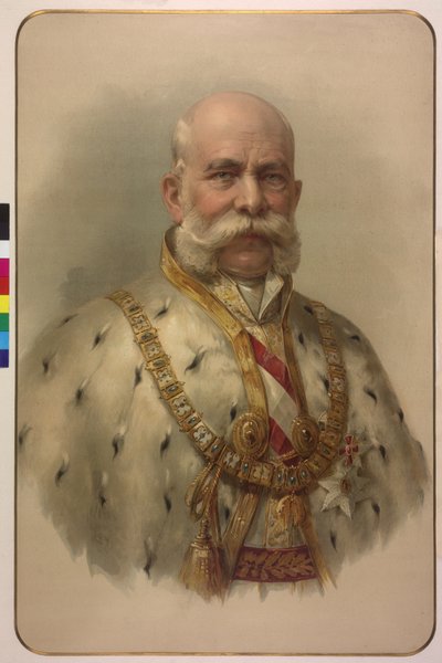 Yarım boy İmparator I. Franz Joseph polar cübbe içinde by Unknown artist