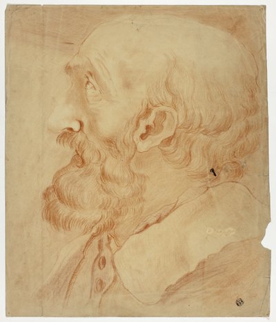 Profilden Sakallı Adam Başı by Unknown artist