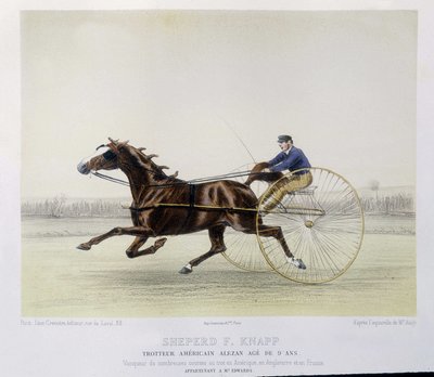 Binicilik: Shepherd F. Knapp, paça - “” centaur”da” by Unknown artist