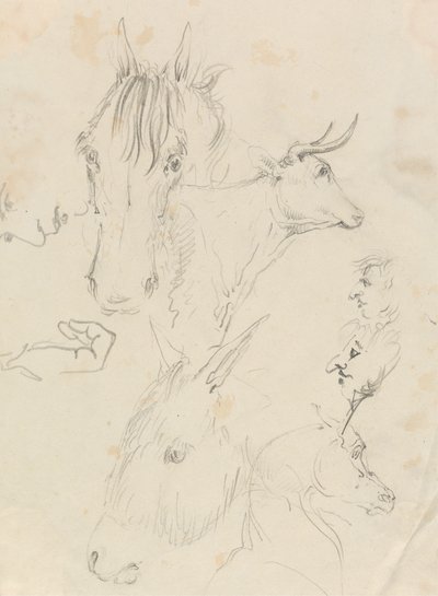 Atlar, İnekler ve İnsanlar by Unknown artist