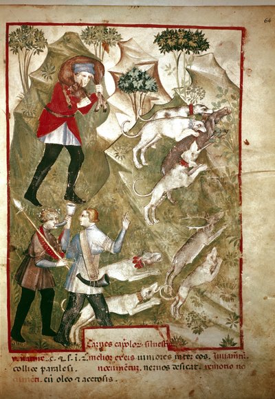 Avcılık (Minyatür, 14. yüzyıl) by Unknown artist