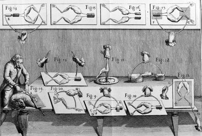 İtalyan fizikçi ve doktor Luigi Galvani