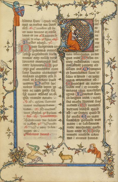 İlk D: David Ağzını Gösteriyor by Unknown artist
