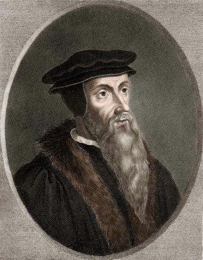 John Calvin - Jean Calvin 1509-1564 - gravür - 19. yüzyıl by Unknown artist