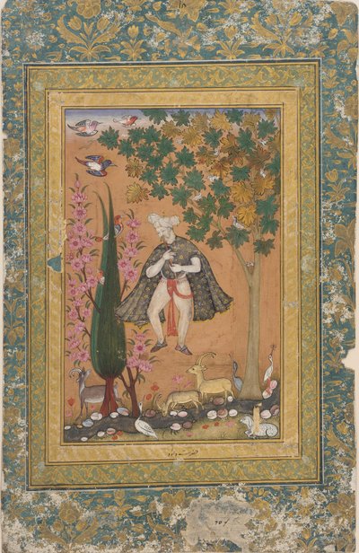 Kral David büyüleyici kuşlar ve hayvanlar by Unknown artist
