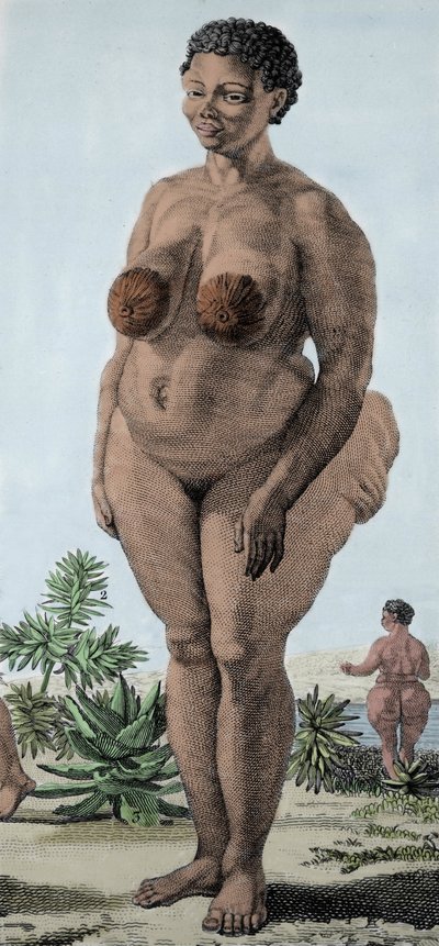 Bochiman cinsi bir kadın olan La Venus Hottentote; (Hotentot Venüs,) 1815 gravürü. by Unknown artist