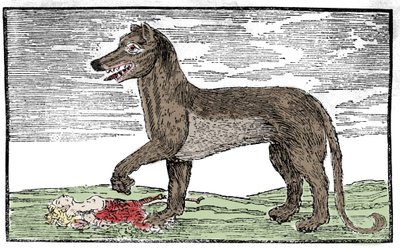 La bete du Gevaudan “Saint James