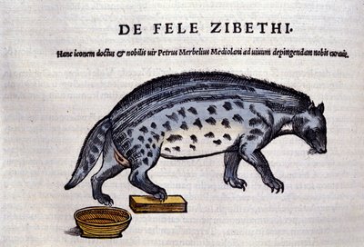 Conrad Gesner (1516 - 1565), Tiguri tarafından Historia Animalium