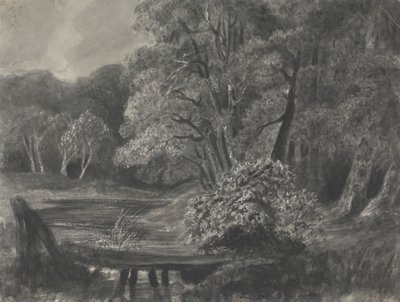 Gölet ile Manzara by Unknown artist