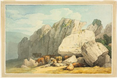 Leigh Tor Rocks, Poundsgate'de, New Bridge on the Dart, Devon yakınında by Unknown artist