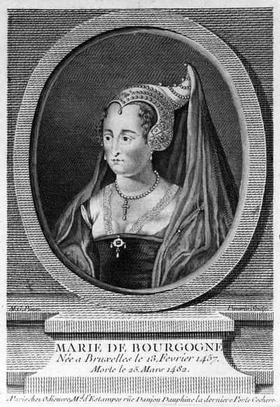Burgundy Marie (1457 - 1482), Cesur Charles