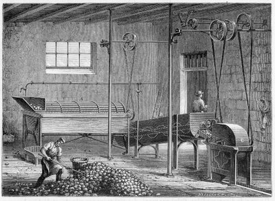Mekanik patates yıkayıcı, ardından epierror ve daha fazlası - Figtree by Unknown artist