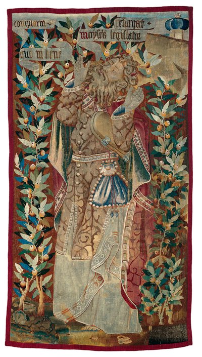 Musa by Unknown artist