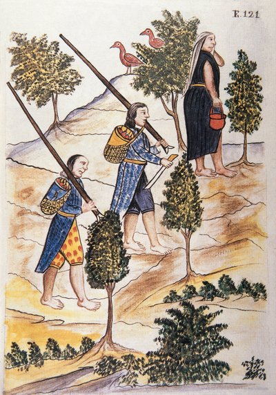 Motilones Kızılderilileri, Trujillo piskoposu Baltazar Martinez Compañón y Bujanda tarafından yazılan "Trujillo del Peru" veya "Códice Martínez Compañón" kitabından (1782-1785) by Unknown artist