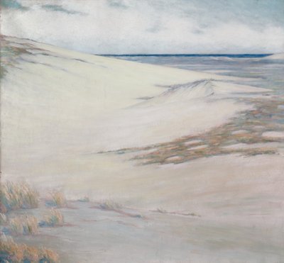 Dunes üzerinde, Cape Cod, Massachusetts by Unknown artist