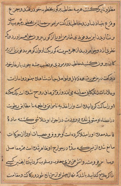 Bir Papağan Masallarından Sayfa: metin sayfası by Unknown artist