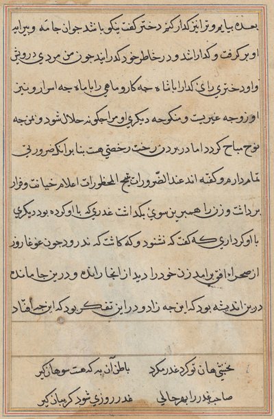 Papağan Masalları