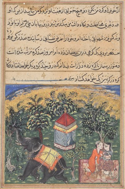 Papağan Masalları