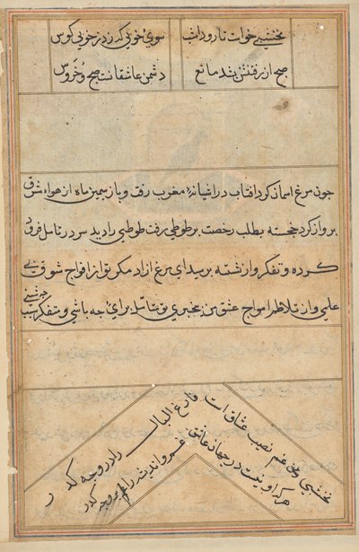 Papağan Masalları