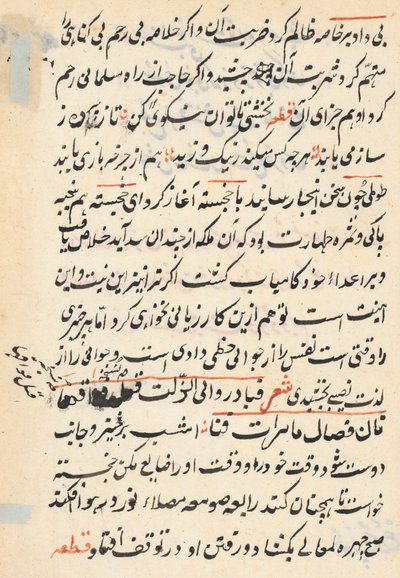 Papağan Masalları