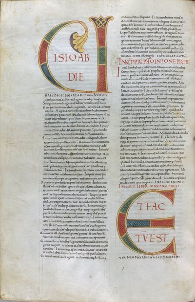 Peygamber Obadiah
