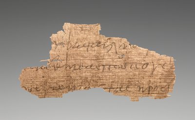 Metinli Papirüs Parçası (98.AI.95.2.2
