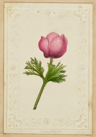 [Pembe çiçekli not kartı] by Unknown artist