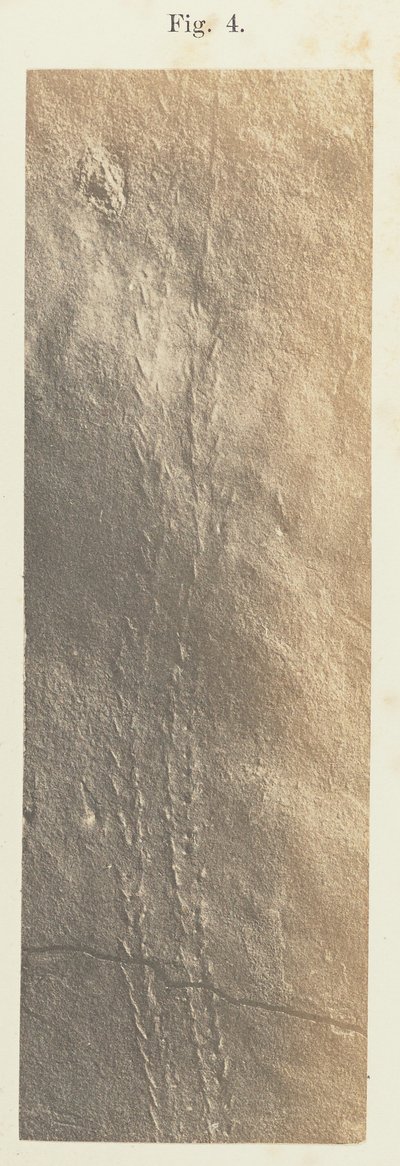 Levha 41. Şekil 4 by Unknown artist