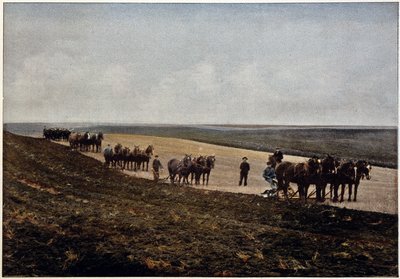 Manitoba Ovalarında (Kanada) çiftçilik, 19. yüzyılın sonlarında by Unknown artist