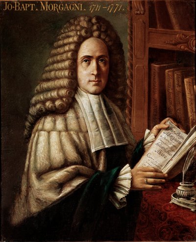 Doktor ve anatomist portresi (Giovanni Battista) (Giovan Battista) Giambattista Morgagni (1683-1771) (Vaftizci Yahya) Patolojik anatominin kurucusu 18. yüzyıl Padua'nın anonim tablosu, Üniversite, İtalya by Unknown artist