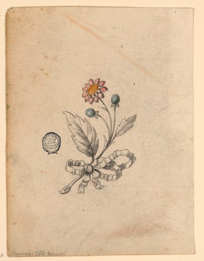 Korsaj Projesi by Unknown artist