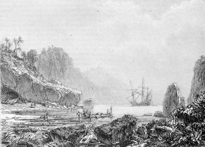 Kaplumbağa Adası Temsili. 19. yüzyıl gravür. by Unknown artist