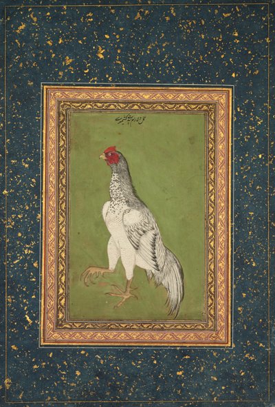 Horoz by Unknown artist