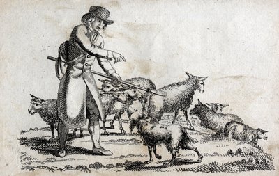 Koyun sürüsü ile çoban. 18. yüzyılın sonlarında gravür. Özel koleksiyon. by Unknown artist