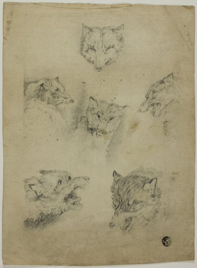Kurt Kafalarının Altı Çizimi by Unknown artist