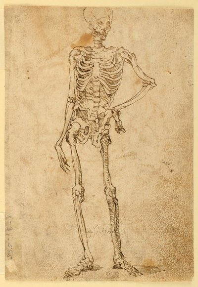 iskelet by Unknown artist